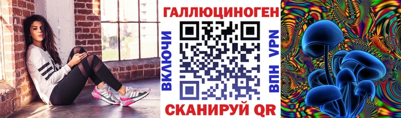 дарк нет формула  хочу наркоту  Череповец  Галлюциногенные грибы Psilocybine cubensis 